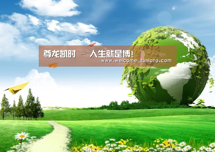 尊龙凯时公司