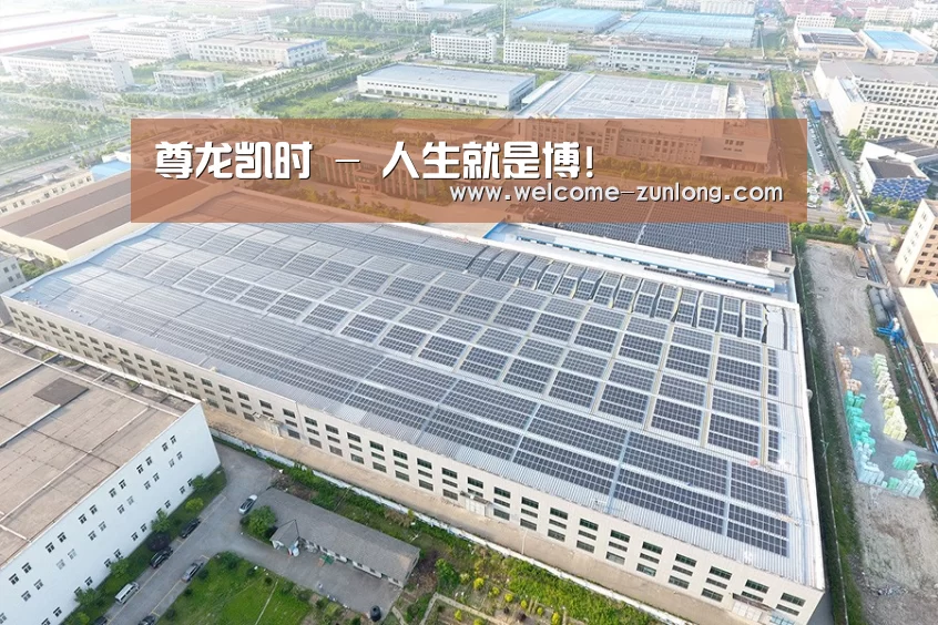 案例展示二