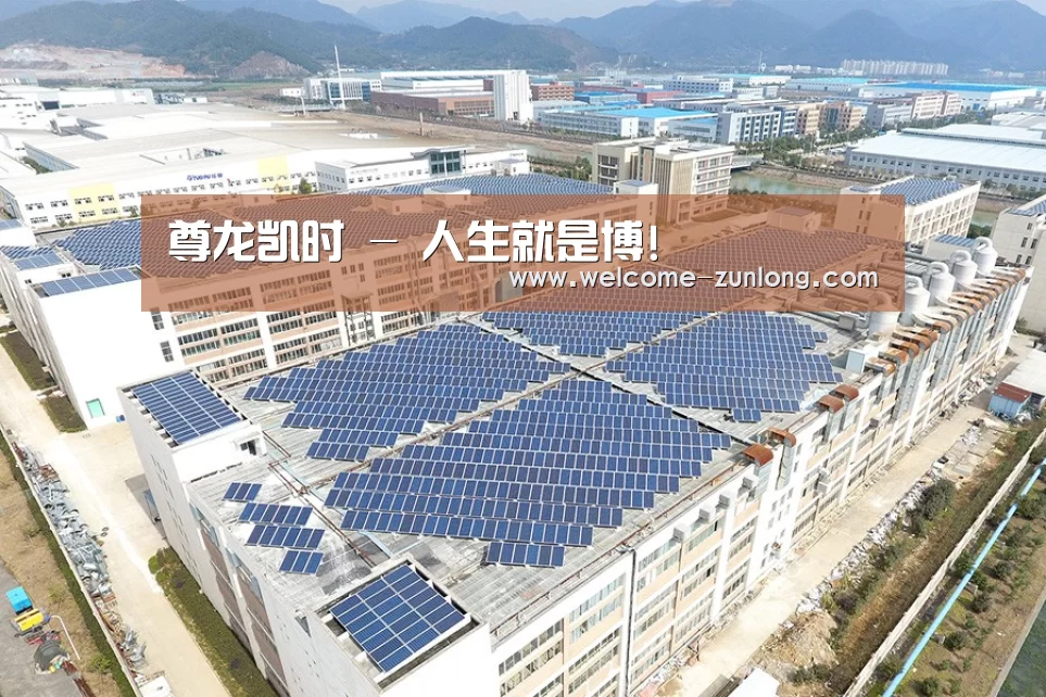 案例展示二