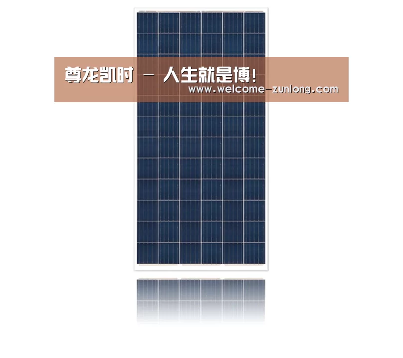 产品名称一