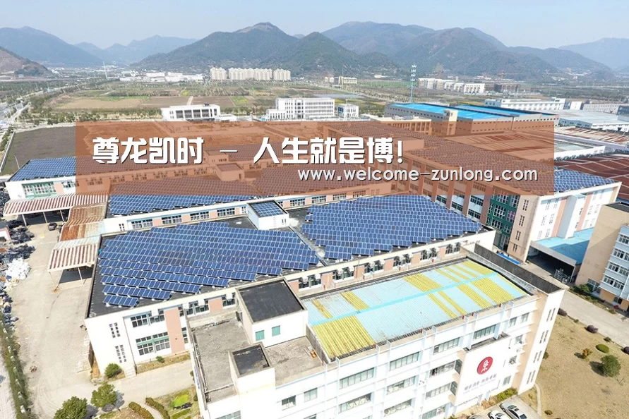 案例展示三