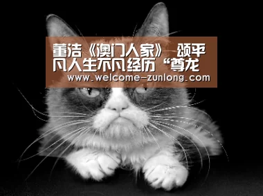 董洁《澳门人家》 颂平凡人生不凡经历“